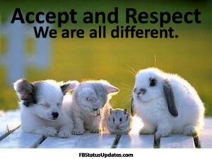 dog,cat,mouse and rabbit tolerance pic