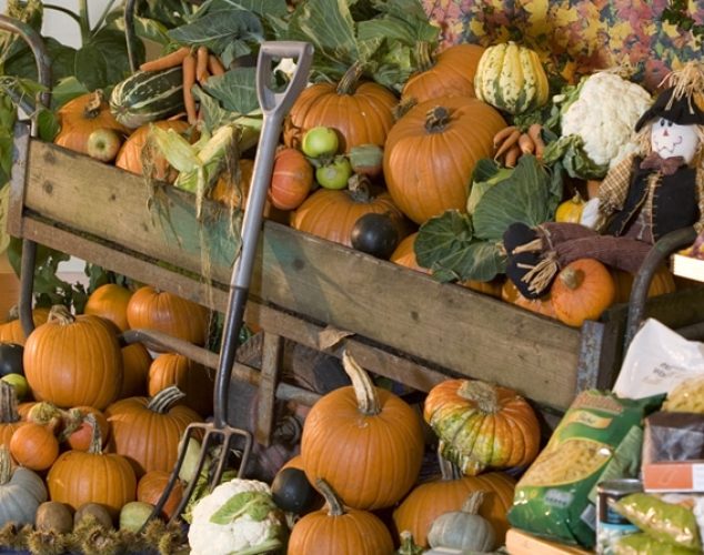 Harvest